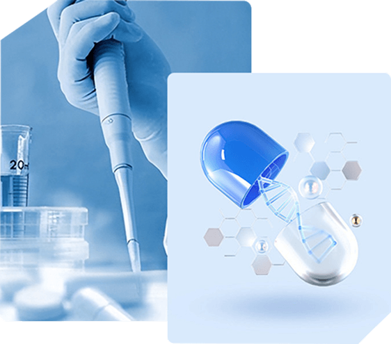Company Research Report